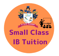 Small Class IB Tuition